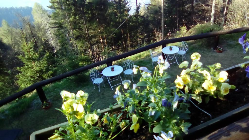 Appartamento Abetina Levico Terme Esterno foto