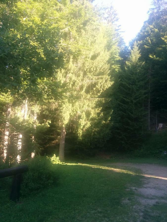 Appartamento Abetina Levico Terme Esterno foto